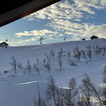 Kikut Alpin 1302 게일로
